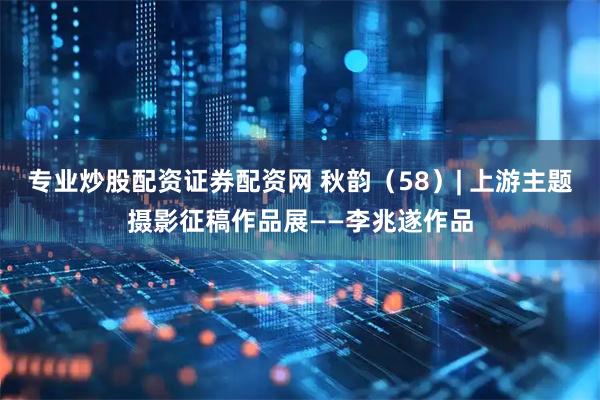 专业炒股配资证券配资网 秋韵（58）| 上游主题摄影征稿作品展——李兆遂作品