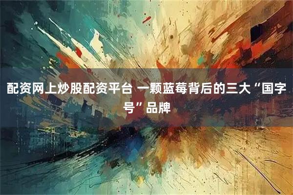 配资网上炒股配资平台 一颗蓝莓背后的三大“国字号”品牌