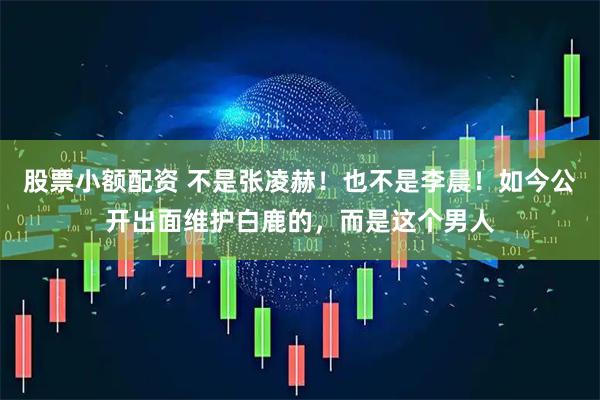 股票小额配资 不是张凌赫！也不是李晨！如今公开出面维护白鹿的，而是这个男人